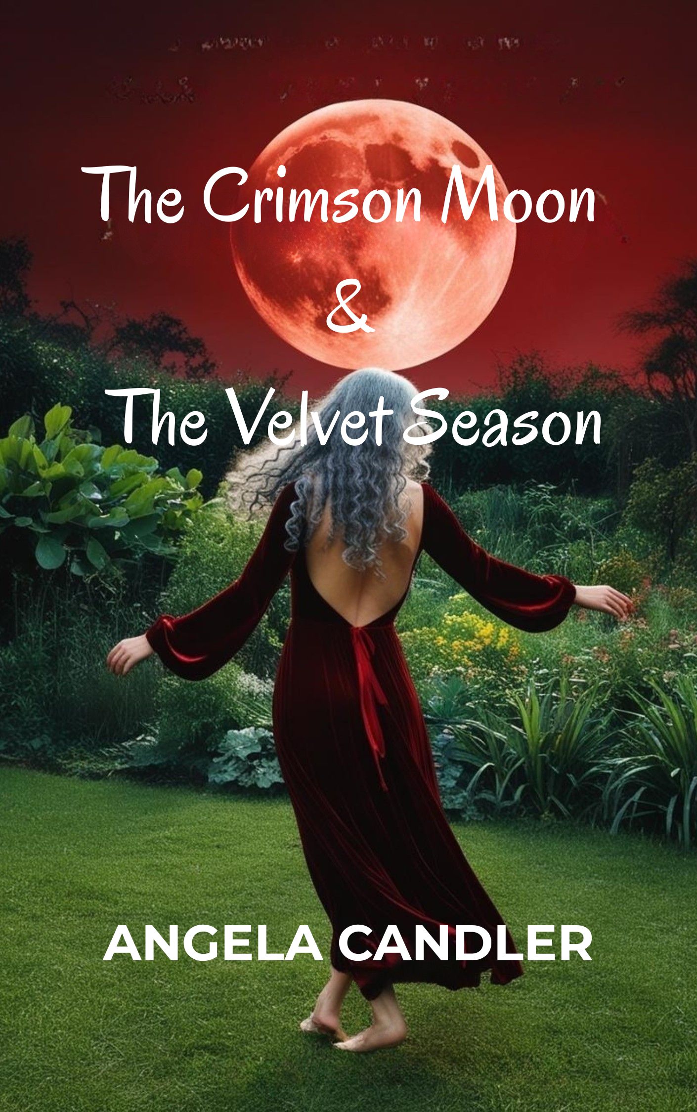 A love letter to womanhood short stories book