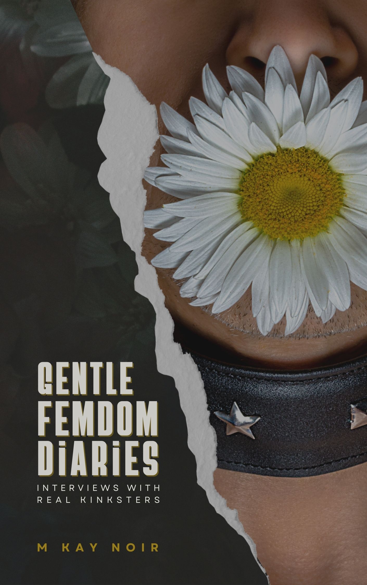 Gentle Femdom Diaries: Interviews with real ministers - M Kay Noir Paperback